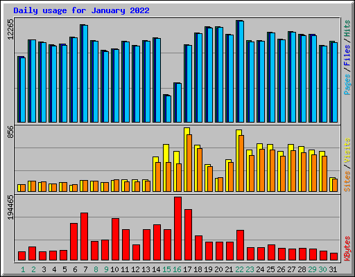 Daily usage for January 2022