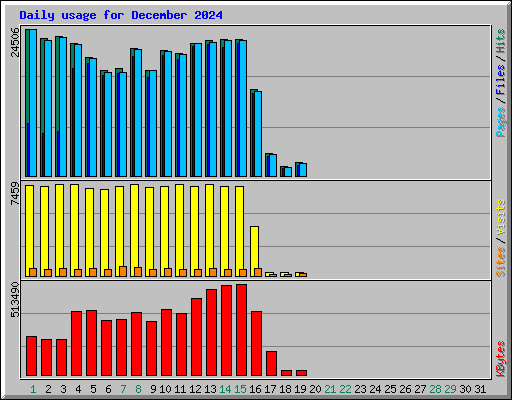 Daily usage for December 2024