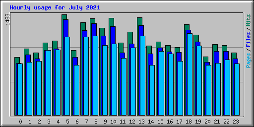 Hourly usage for July 2021