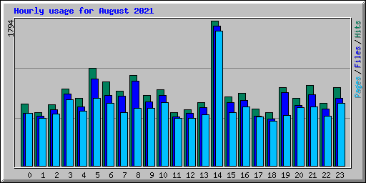 Hourly usage for August 2021