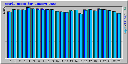 Hourly usage for January 2022