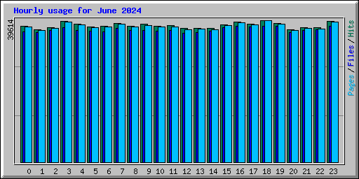 Hourly usage for June 2024