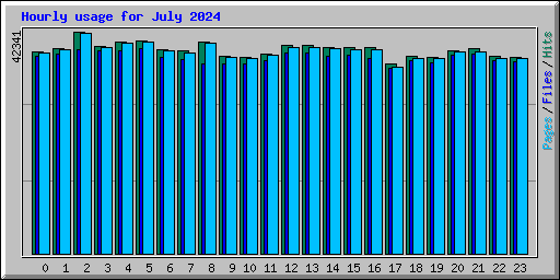 Hourly usage for July 2024