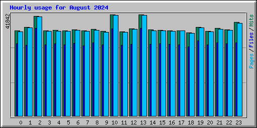 Hourly usage for August 2024