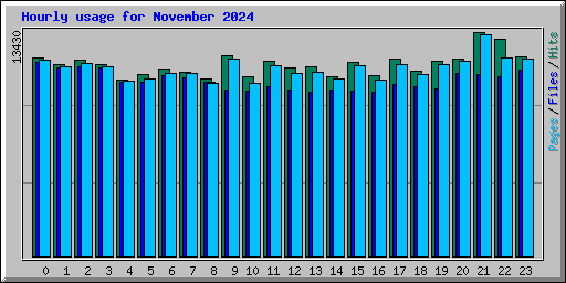 Hourly usage for November 2024