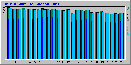 Hourly usage for December 2024