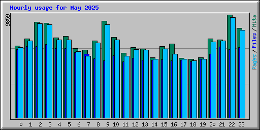 Hourly usage for May 2025
