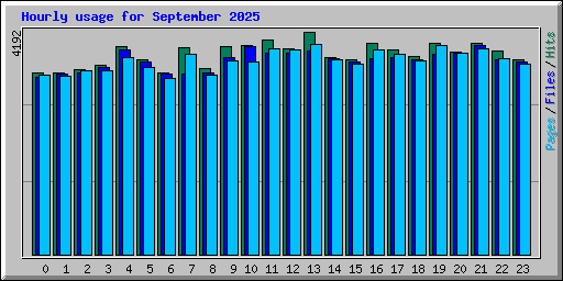 Hourly usage for September 2025