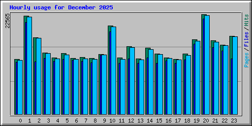 Hourly usage for December 2025